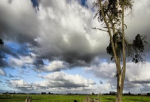 必威体育官网：图片报：因扬德尔转会费较高，药厂将推进引进马扎的交易.