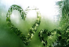 必威体育官网：今夏将告别NBA之人：保罗可能退役？25岁的雷迪什待不下去了.