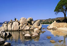 必威体育官网：赞不绝口！许利民：曾凡博从赛季初的伤病阴霾中完全走出来了.